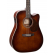 MR500E (Brown Burst), зображення 1